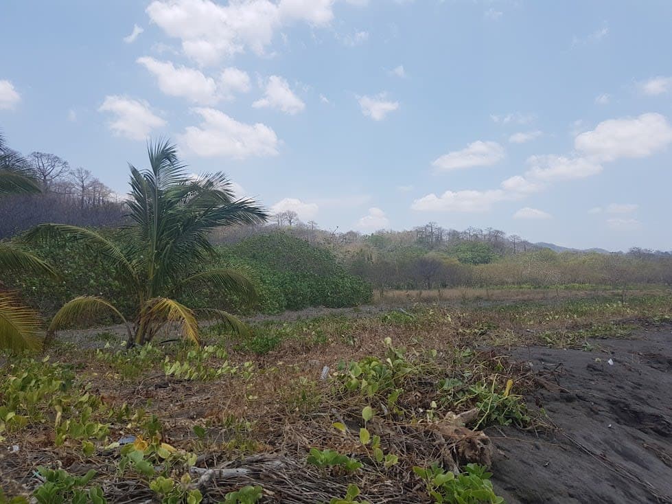 Terreno FRENTE DE PLAYA y carretera OV - Miniatura 15