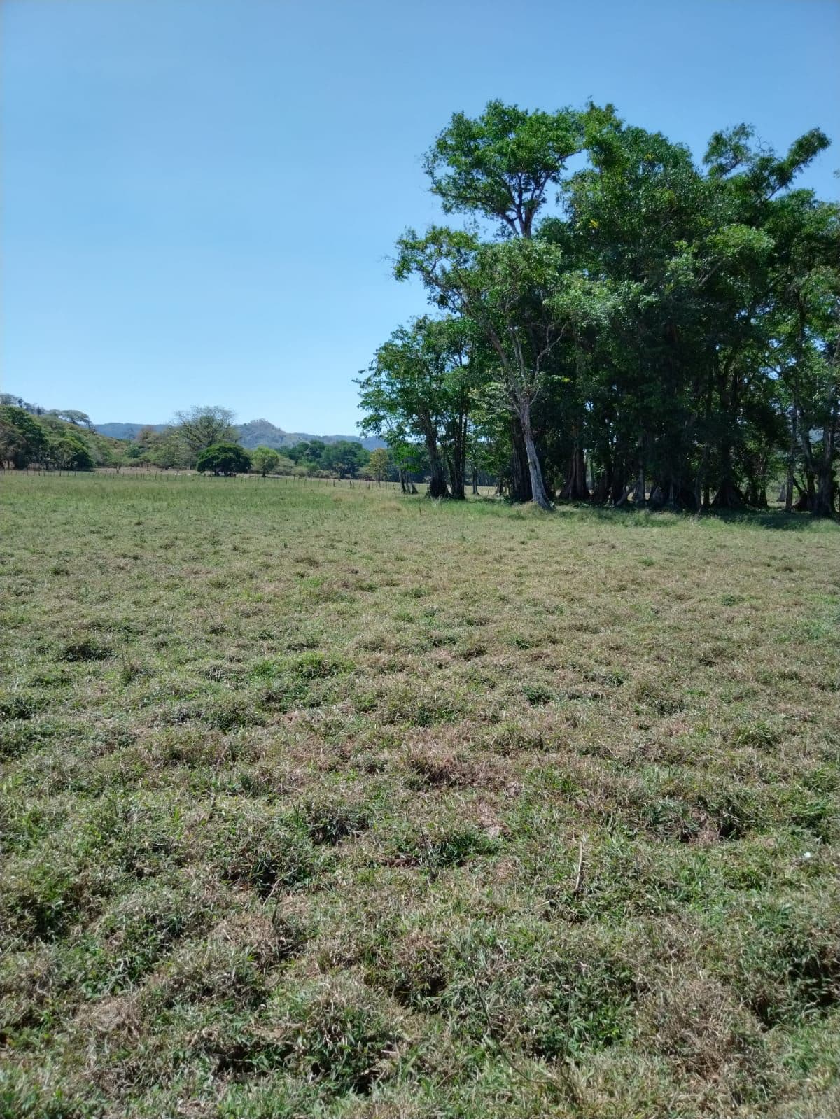Se vende con VISTA A PLAYA Pixvae VERAGUAS terreno PLANO OV - Miniatura 3
