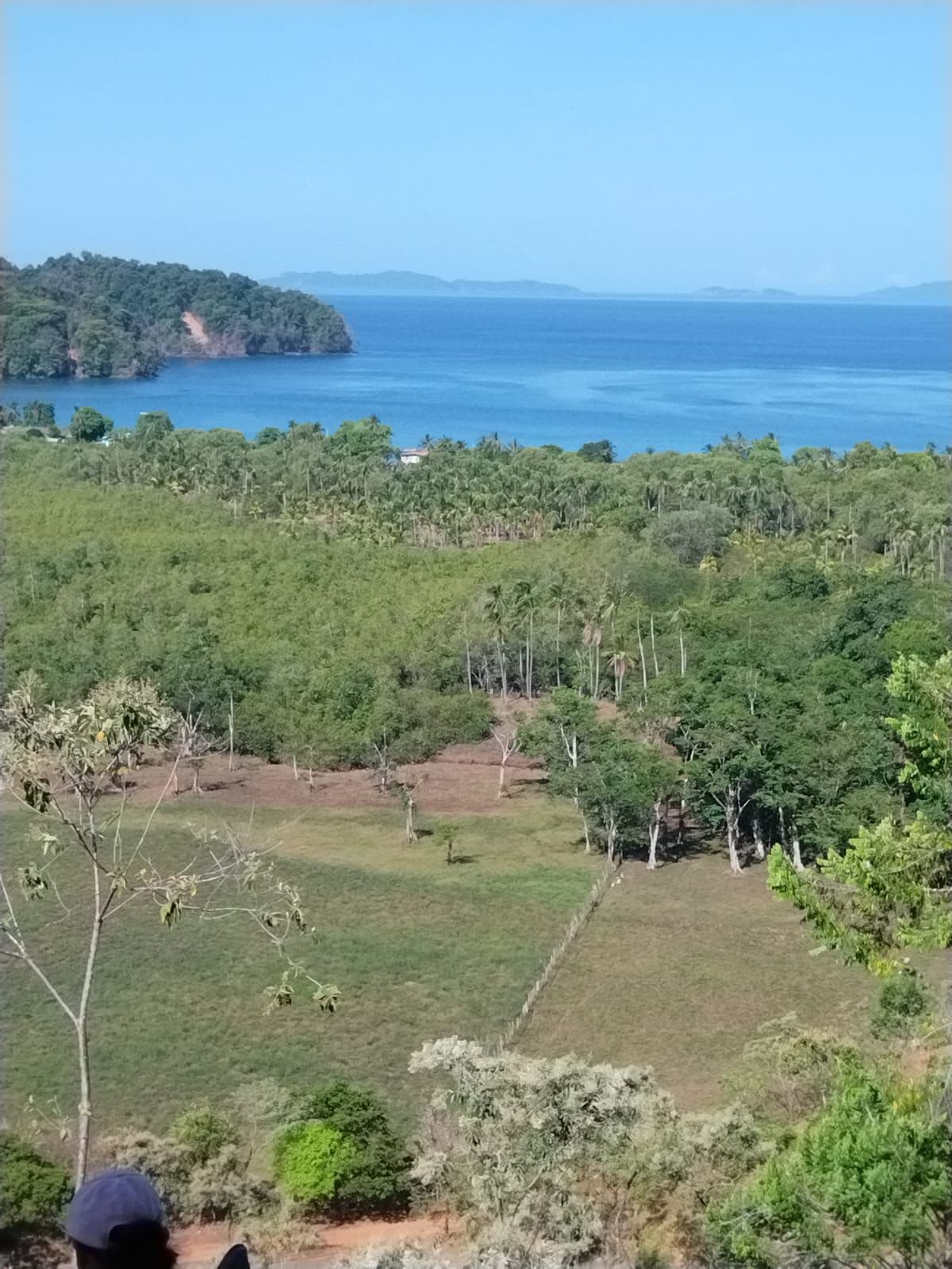 Se vende con VISTA A PLAYA Pixvae VERAGUAS terreno PLANO OV - Imagen de la propiedad